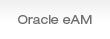 Oracle eAM