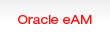 Oracle eAM