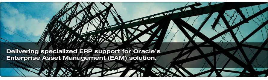 Delivering specialized ERP support for Oracles Enterprise Asset Management (EAM) solution.